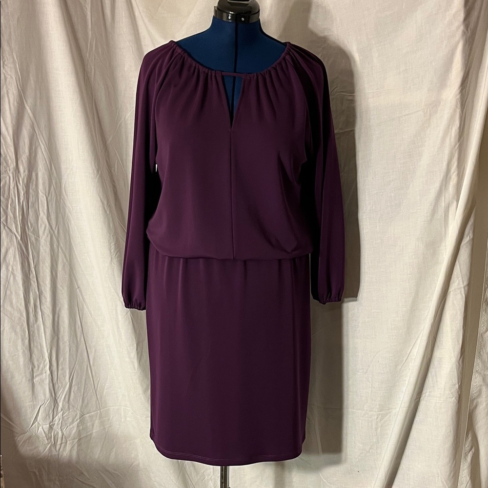 Talbots Deep Purple Long Sleeve DressSize L